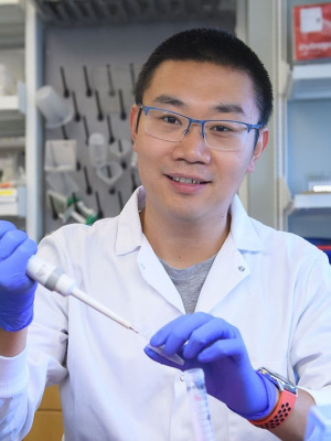 Xu, Hongyang, Ph.D.